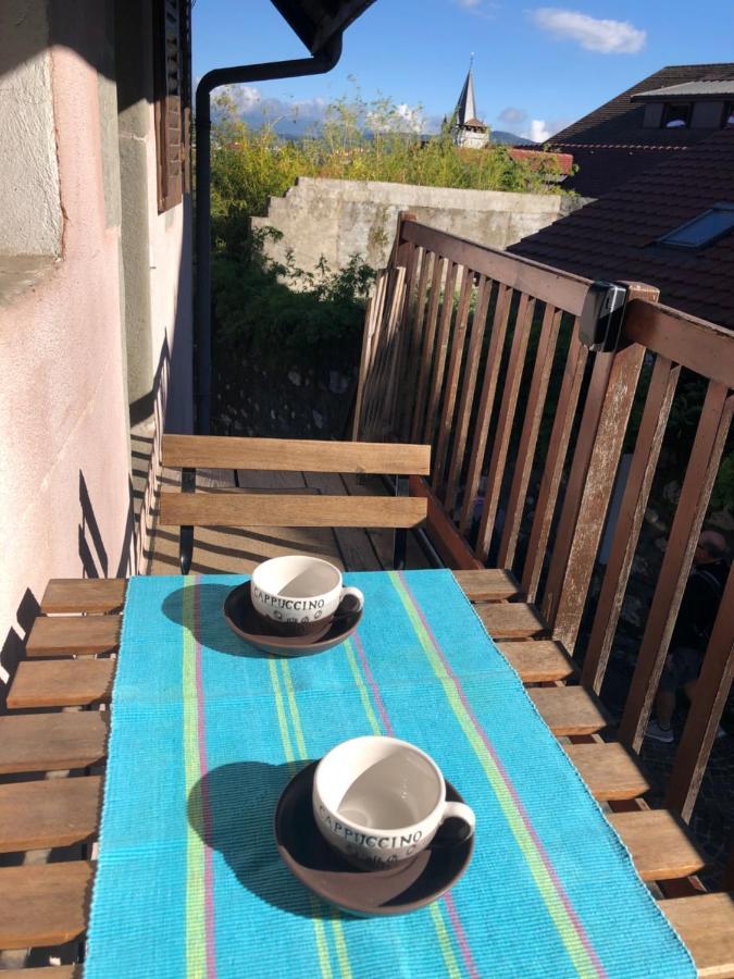 Appartement Dans La Vieille Ville, En Face Du Chateau アヌシー エクステリア 写真
